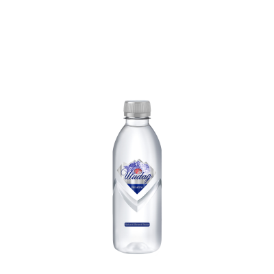Uludağ Premium Pet Bottle 400 ml